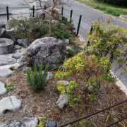 ヒメ日記 2026/03/13 11:37 投稿 アマゾネス　エルザ 八王子だョ！変態集合