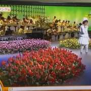 ヒメ日記 2026/03/26 19:31 投稿 アマゾネス　エルザ 八王子だョ！変態集合