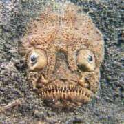 ヒメ日記 2026/04/20 19:18 投稿 アマゾネス　エルザ 八王子だョ！変態集合