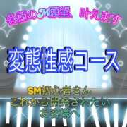 ヒメ日記 2026/08/23 11:58 投稿 アマゾネス　エルザ 八王子だョ！変態集合