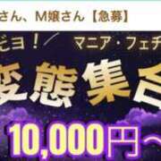 ヒメ日記 2026/08/30 21:16 投稿 アマゾネス　エルザ 八王子だョ！変態集合