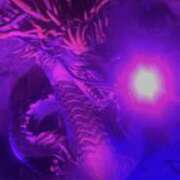 ヒメ日記 2025/04/24 00:31 投稿 Shion 八王子だョ！変態集合