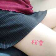 ヒメ日記 2025/03/17 16:33 投稿 白石桜雪 五十路マダム 沼津店(カサブランカグループ)