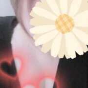 ヒメ日記 2025/07/07 08:39 投稿 白石桜雪 五十路マダム 沼津店(カサブランカグループ)