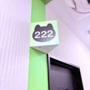 ヒメ日記 2025/04/03 22:19 投稿 朝比奈　零 八王子だョ！変態集合