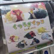 ヒメ日記 2025/09/29 21:57 投稿 朝比奈　零 八王子だョ！変態集合