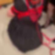 ヒメ日記 2025/11/02 20:26 投稿 朝比奈　零 八王子だョ！変態集合