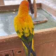 ヒメ日記 2025/11/24 07:24 投稿 朝比奈　零 八王子だョ！変態集合