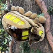 ヒメ日記 2025/11/30 20:54 投稿 朝比奈　零 八王子だョ！変態集合