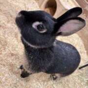 ヒメ日記 2025/12/02 07:05 投稿 朝比奈　零 八王子だョ！変態集合