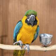 ヒメ日記 2025/12/04 22:37 投稿 朝比奈　零 八王子だョ！変態集合