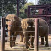 ヒメ日記 2025/12/09 07:22 投稿 朝比奈　零 八王子だョ！変態集合