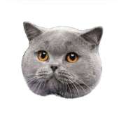 ヒメ日記 2025/12/26 22:27 投稿 朝比奈　零 八王子だョ！変態集合