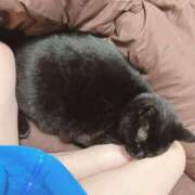 ヒメ日記 2025/04/22 07:06 投稿 桜 めい プルプルオフィスディーバ