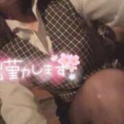 ヒメ日記 2025/09/08 06:16 投稿 桜 めい プルプルオフィスディーバ