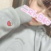 ヒメ日記 2025/11/03 19:32 投稿 桜 めい プルプルオフィスディーバ