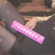 ヒメ日記 2025/11/06 06:07 投稿 桜 めい プルプルオフィスディーバ