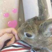 ヒメ日記 2025/11/09 11:30 投稿 桜 めい プルプルオフィスディーバ