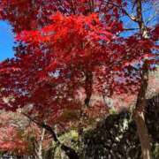 ヒメ日記 2025/11/16 17:20 投稿 桜 めい プルプルオフィスディーバ