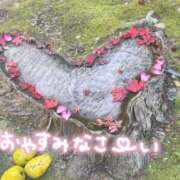 ヒメ日記 2025/11/22 20:30 投稿 桜 めい プルプルオフィスディーバ