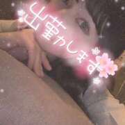 ヒメ日記 2025/12/19 06:18 投稿 桜 めい プルプルオフィスディーバ