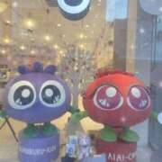 ヒメ日記 2025/12/27 18:52 投稿 桜 めい プルプルオフィスディーバ