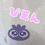 ヒメ日記 2025/12/30 09:37 投稿 桜 めい プルプルオフィスディーバ