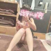 ヒメ日記 2026/01/16 06:12 投稿 桜 めい プルプルオフィスディーバ