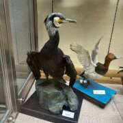 ヒメ日記 2026/02/16 20:41 投稿 桜 めい プルプルオフィスディーバ