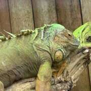 ヒメ日記 2026/02/28 08:18 投稿 桜 めい プルプルオフィスディーバ