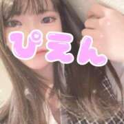 ヒメ日記 2026/02/28 20:30 投稿 桜 めい プルプルオフィスディーバ