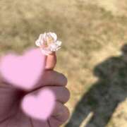 ヒメ日記 2026/03/01 17:47 投稿 桜 めい プルプルオフィスディーバ