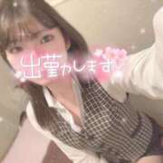 ヒメ日記 2026/03/03 21:09 投稿 桜 めい プルプルオフィスディーバ