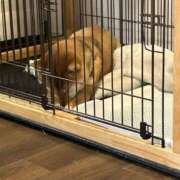 ヒメ日記 2026/03/08 17:04 投稿 桜 めい プルプルオフィスディーバ