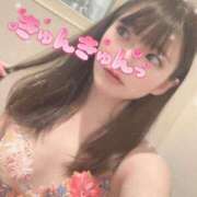 ヒメ日記 2026/03/10 16:10 投稿 桜 めい プルプルオフィスディーバ