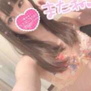 ヒメ日記 2026/04/15 16:42 投稿 桜 めい プルプルオフィスディーバ