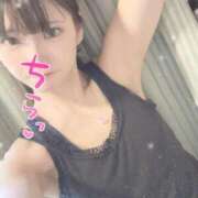 ヒメ日記 2026/04/16 15:43 投稿 桜 めい プルプルオフィスディーバ