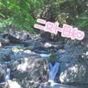 ヒメ日記 2026/04/20 20:15 投稿 桜 めい プルプルオフィスディーバ