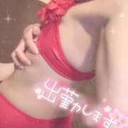 ヒメ日記 2026/05/08 06:14 投稿 桜 めい プルプルオフィスディーバ