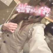 ヒメ日記 2026/05/12 06:06 投稿 桜 めい プルプルオフィスディーバ