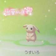ヒメ日記 2026/08/18 06:02 投稿 桜 めい プルプルオフィスディーバ