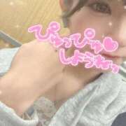 ヒメ日記 2026/09/14 09:02 投稿 桜 めい プルプルオフィスディーバ