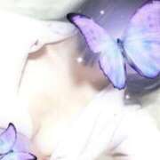 ヒメ日記 2025/03/28 17:27 投稿 ひなの 治療院.LOVE小山店