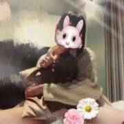 ヒメ日記 2025/04/08 14:48 投稿 ひなの 治療院.LOVE小山店