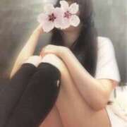 ヒメ日記 2025/04/12 11:21 投稿 ひなの 治療院.LOVE小山店