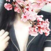 ヒメ日記 2025/04/26 12:03 投稿 ひなの 治療院.LOVE小山店