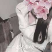 ヒメ日記 2026/04/12 00:35 投稿 かなで OLIVE  SPA(広島)