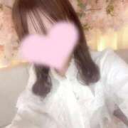 ヒメ日記 2025/04/27 17:21 投稿 百瀬もか ウルトラプラチナム