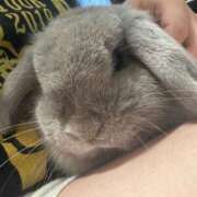 ヒメ日記 2025/03/19 21:15 投稿 みき ぽっちゃり巨乳専門木更津君津ちゃんこin千葉