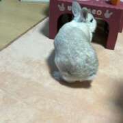 ヒメ日記 2025/03/21 10:18 投稿 みき ぽっちゃり巨乳専門木更津君津ちゃんこin千葉